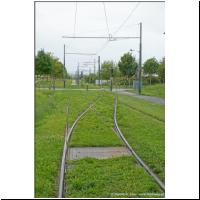 2025-07-30 T Leon Blum.jpg